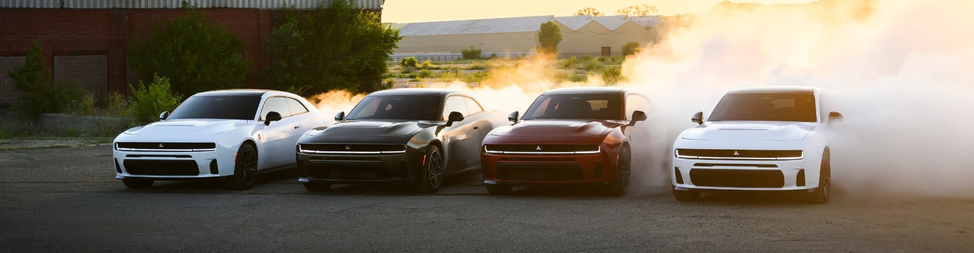 Dodge Vehicle